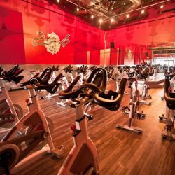 Crunch Fitness - Carmel Valley ico