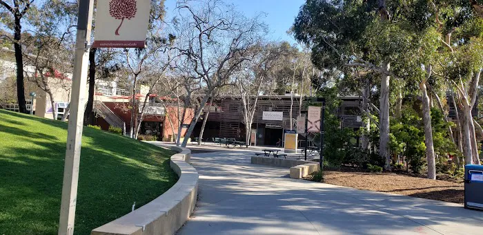 UCSD Main Gym 4
