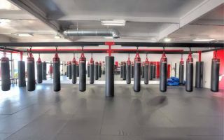 the arena mma