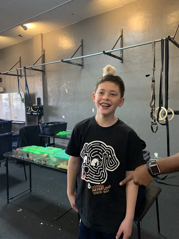 TC Strength and Fitness Gym & Personal Training 7