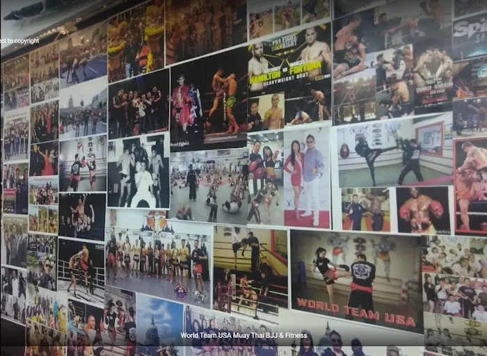 World Team USA Muay Thai BJJ & Fitness 5
