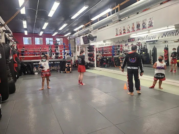World Team USA Muay Thai BJJ & Fitness 1