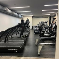 Equinox Pine Street ico