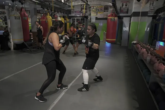 HIT Fit SF 3