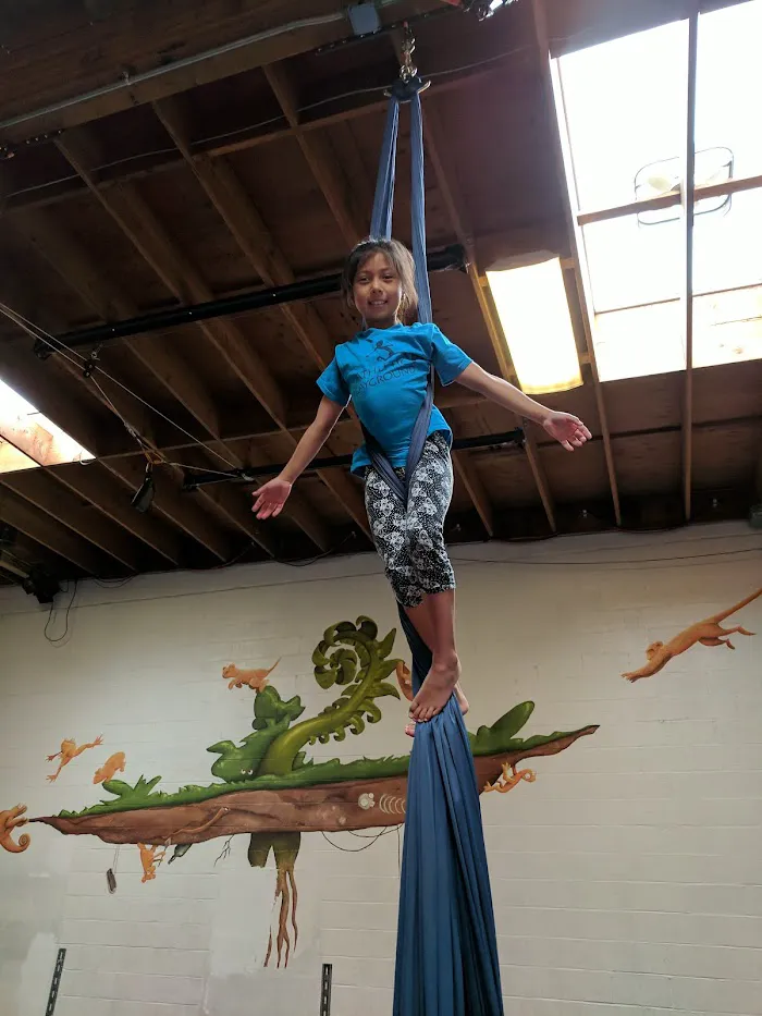 Athletic Playground 6