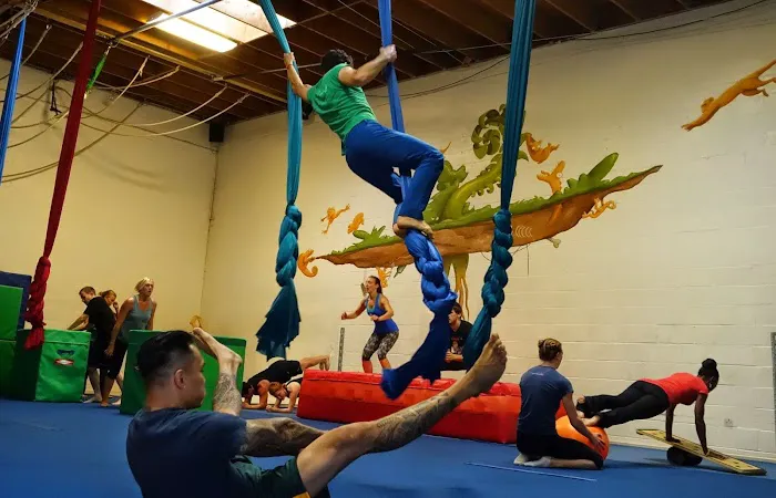 Athletic Playground 4