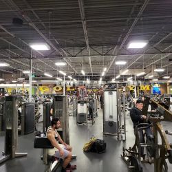 Gold's Gym ico