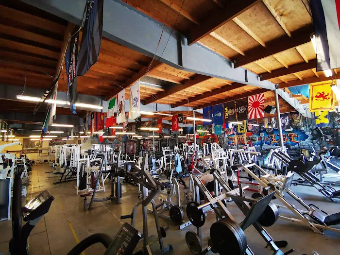 Metroflex Gym 7
