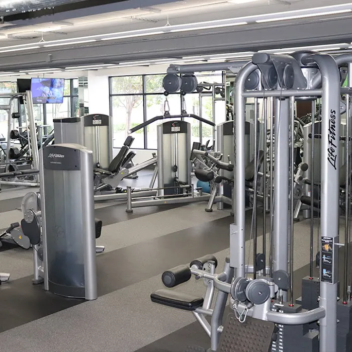 Curl Fitness 8