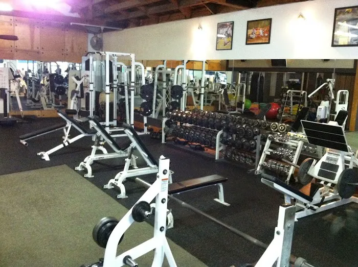 Art Of Fitness 6