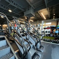 Gold’s Gym ico