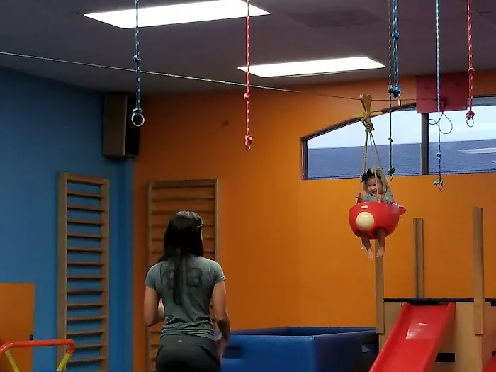 My Gym 1