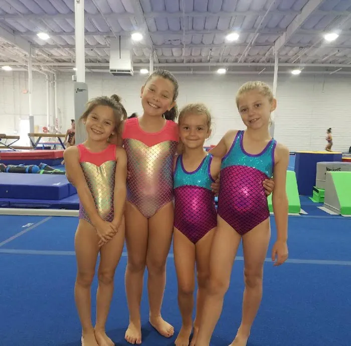 VIBE Gymnastics 0