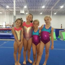 VIBE Gymnastics ico