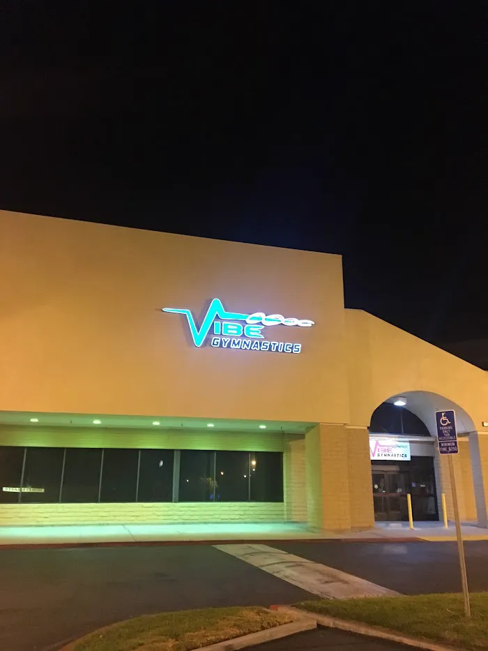 VIBE Gymnastics 7