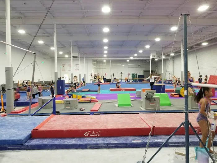 VIBE Gymnastics 4