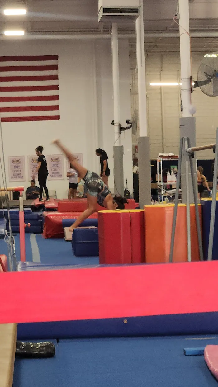 VIBE Gymnastics 2