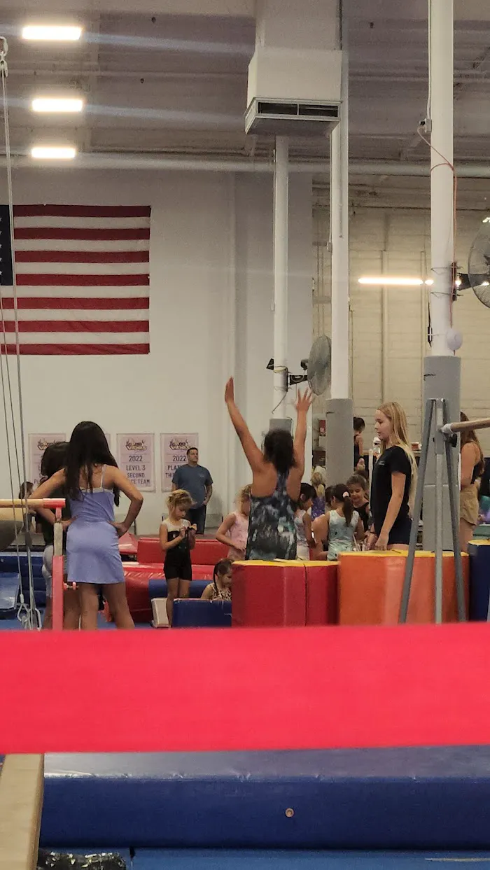VIBE Gymnastics 6