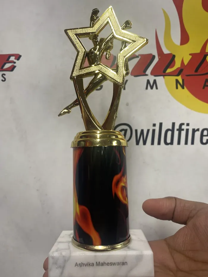 Wildfire Gymnastics 8