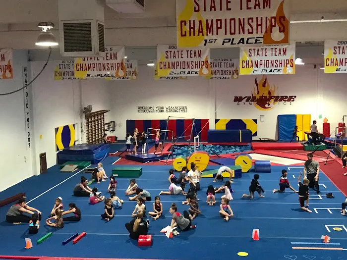 Wildfire Gymnastics 1