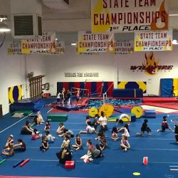 Wildfire Gymnastics ico