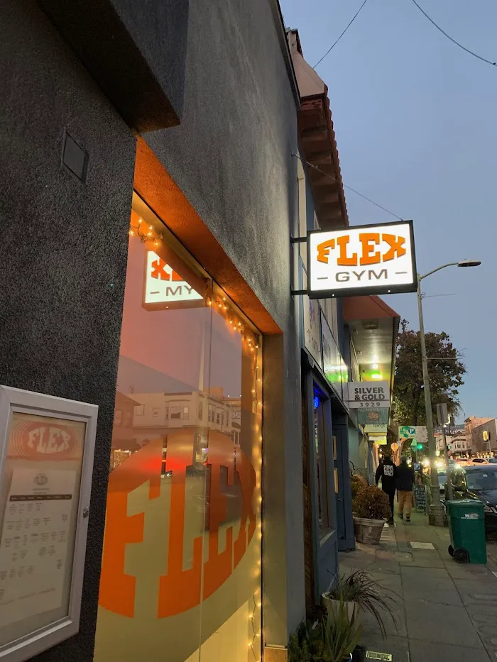 FLEX 7