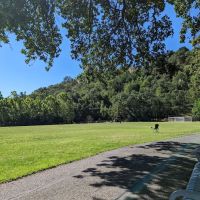 Tice Valley Community Gym