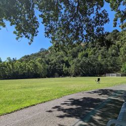 Tice Valley Community Gym ico