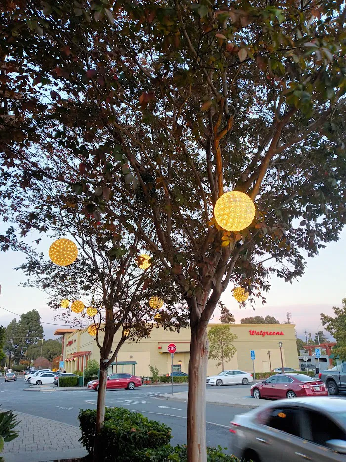 Crunch Fitness - Alameda 8