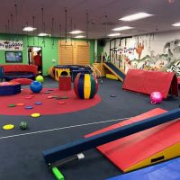 My Gym