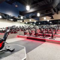 Fitness 19
