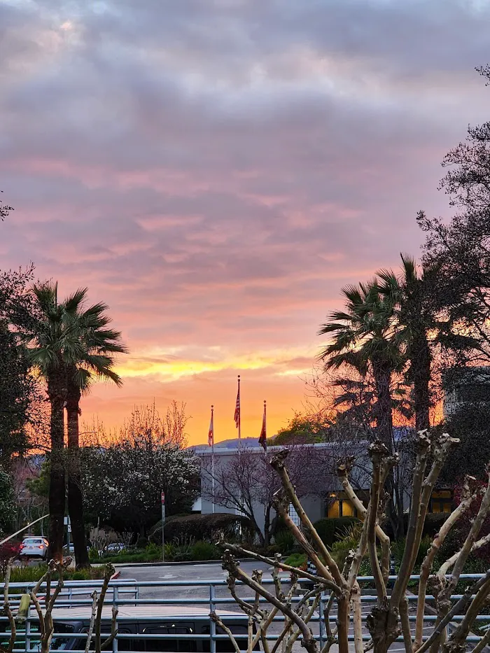 Bay Club Walnut Creek 1