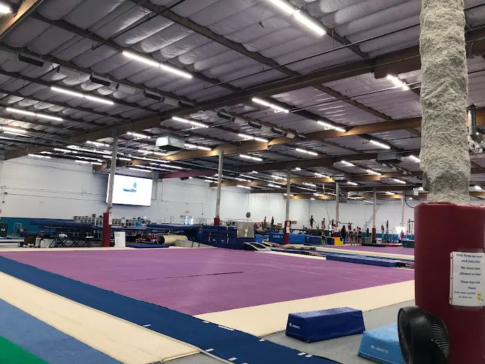 Technique Gymnastics 0