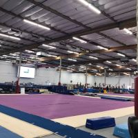 Technique Gymnastics