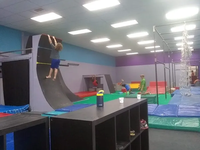 Technique Gymnastics 1