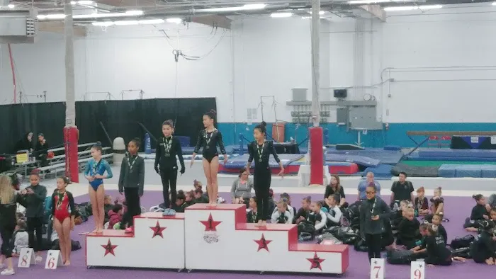 Technique Gymnastics 2