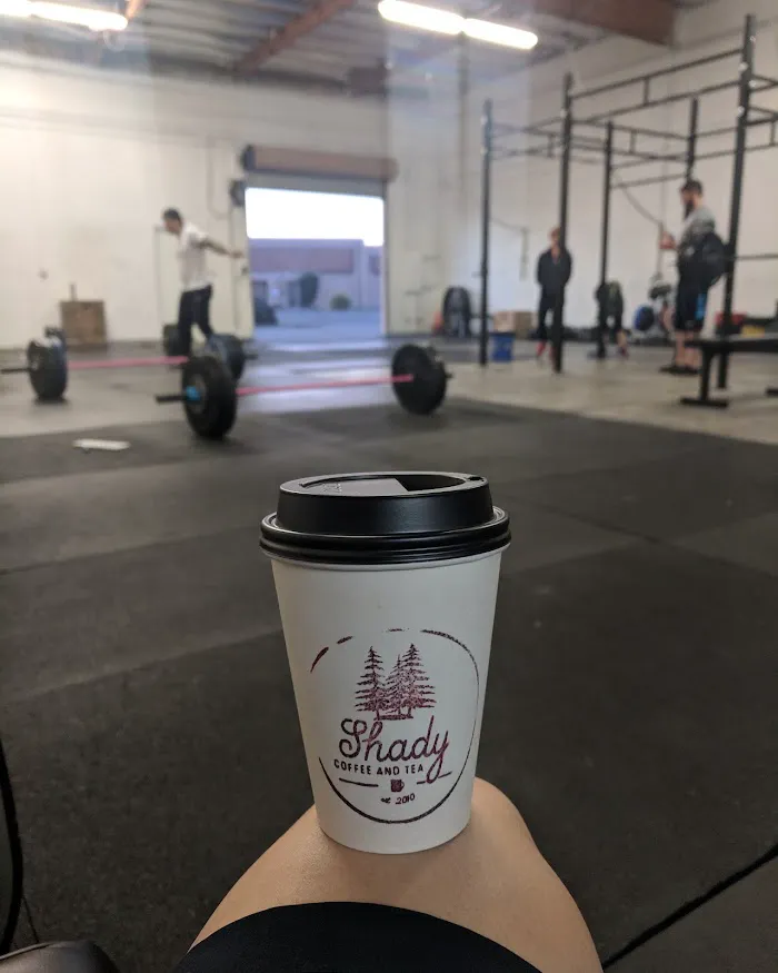 TGP Fit - Roseville 8