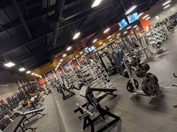 Gold's Gym 7