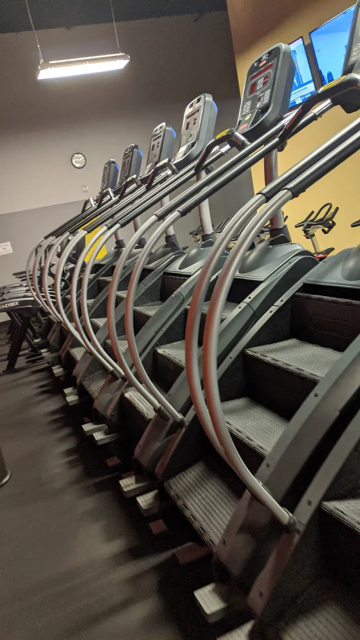 Gold's Gym 6