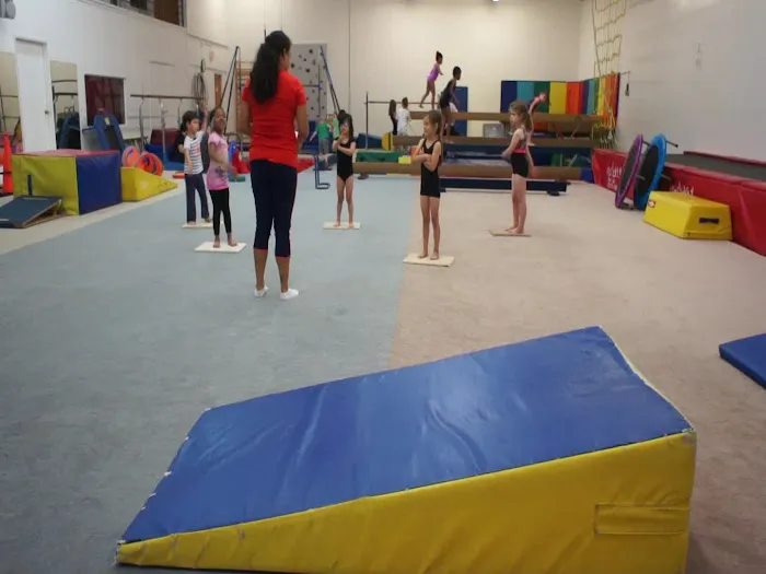 Planet Gymnastics 1
