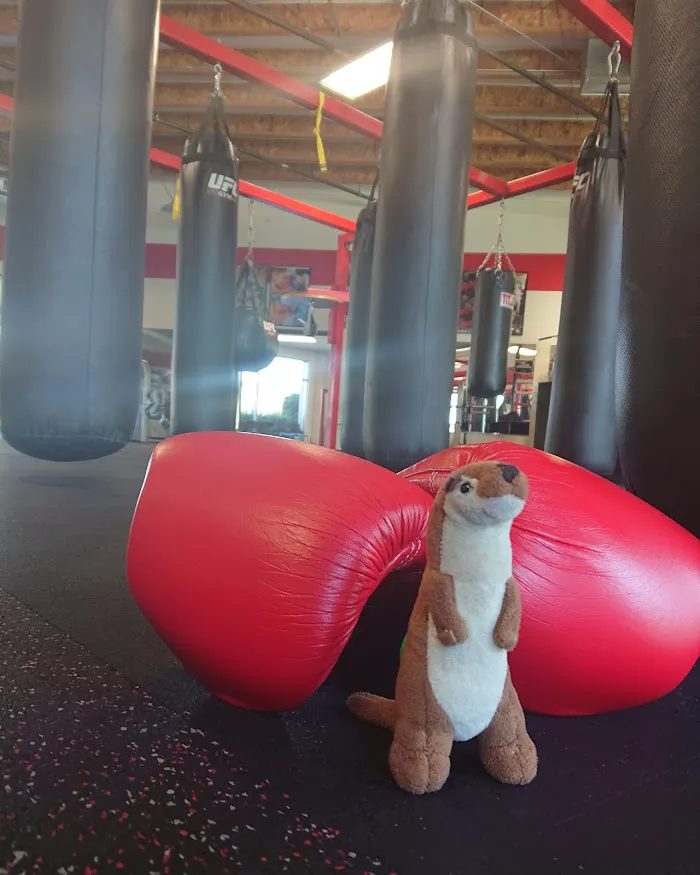 UFC GYM Sacramento 4