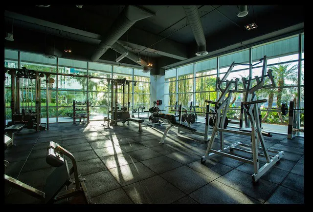 IconFit 0