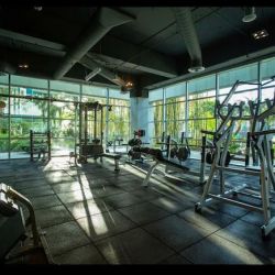 IconFit ico