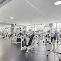 Prestige Miami Fitness Club ico