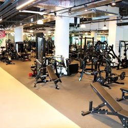Miami Strong Gym ico