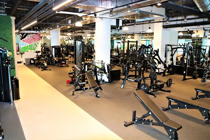 Miami Strong Gym 2