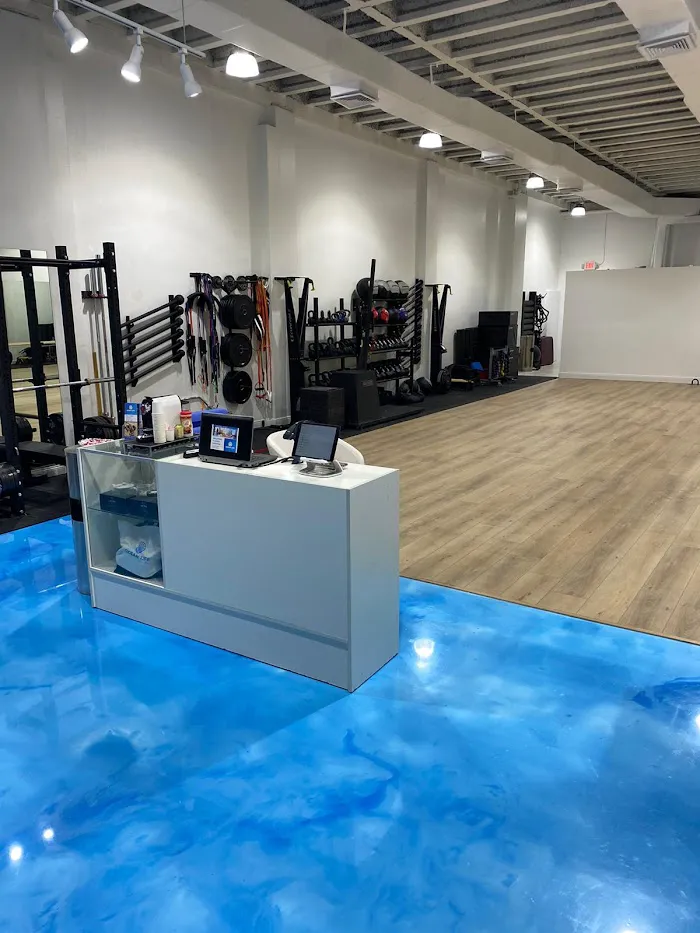 Ocean Life Studio 0