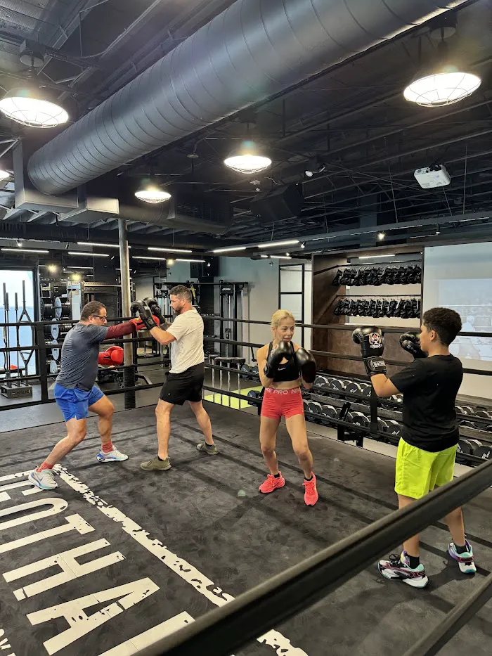 Gotham Gym Miami 1