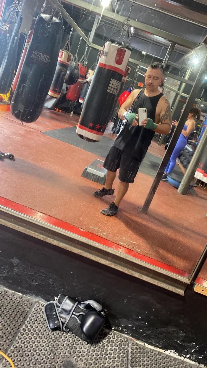Punch Elite Fitness Miami 6