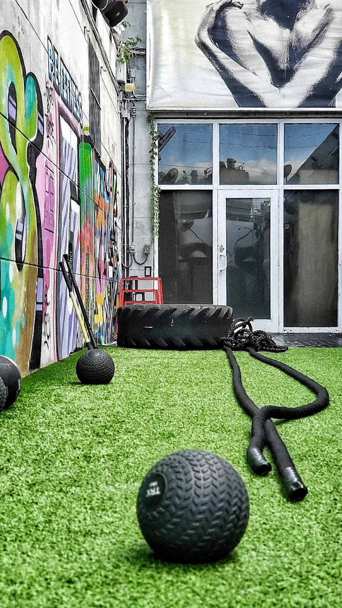 Punch Elite Fitness Miami 7